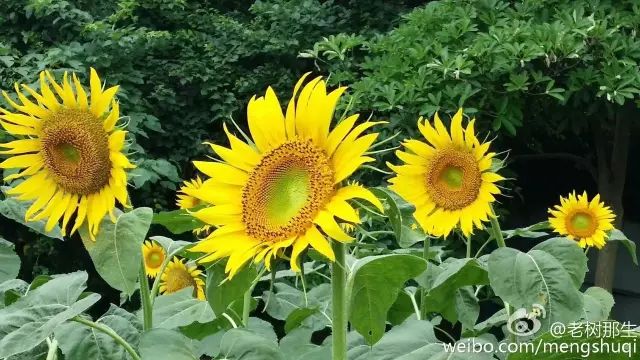 2020最强“广西大全”来了！承包柳州人一整年的旅行