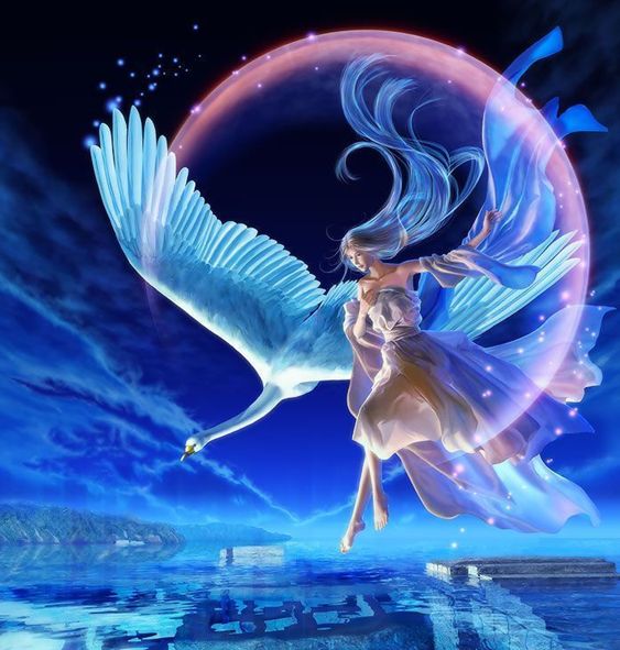 12星座分析图片,12星座解析