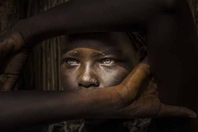 第26届奥地利摄影展,奥地利超级摄影巡回赛28年回顾展