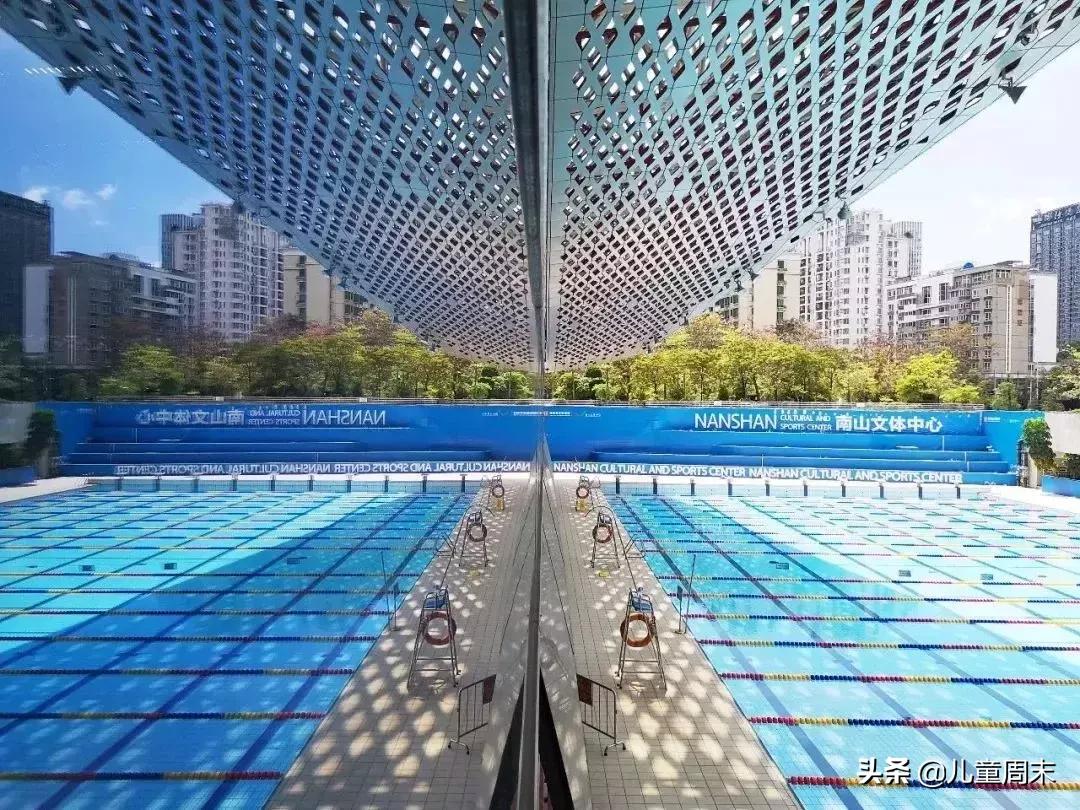 深圳游泳培训班哪家最好,深圳哪里有游泳培训班