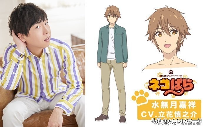 又要吸猫啦！《巧克力与香子兰》TV动画化決定！特报影像公开