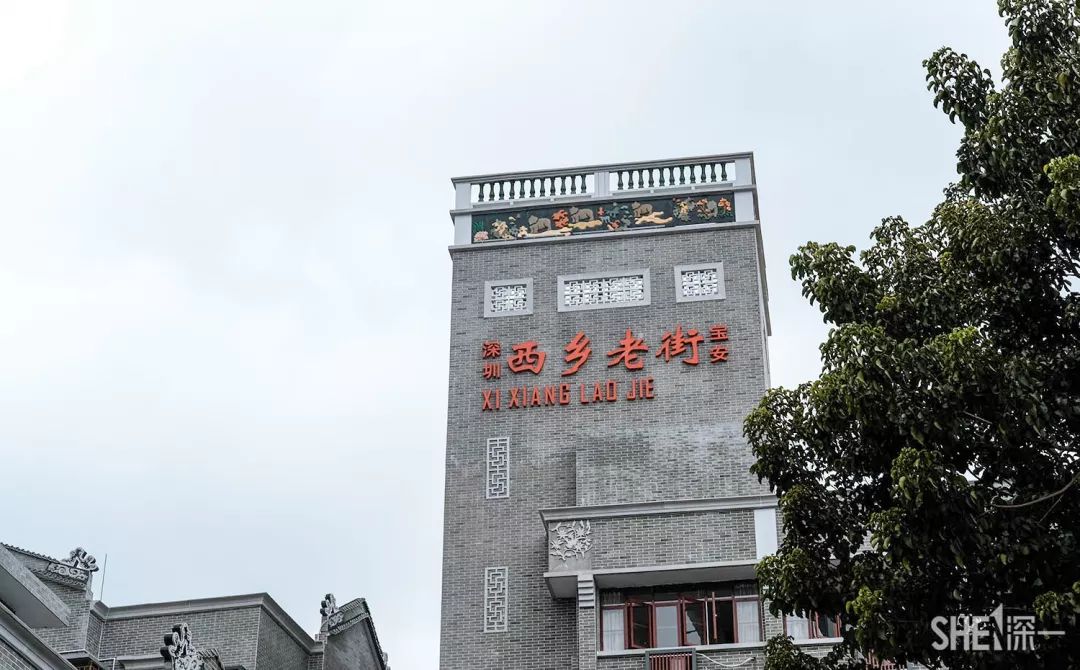 别总去大沙河了！深圳这条极少有人知道的河流，更神秘