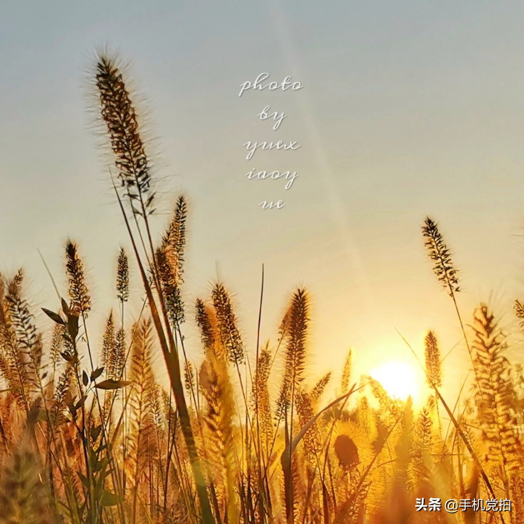 手机拍照逆光解决方法,手机拍照逆光怎么避免过曝