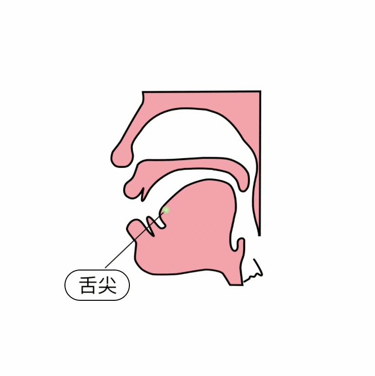 汉语拼音前鼻音和后鼻音如何发音,拼音字母前鼻音字母和后鼻音字母