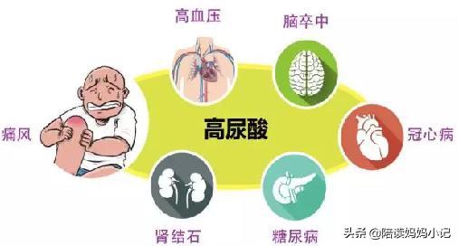 当一个吃货遇到另一个吃货,怎么应对素食主义主义者