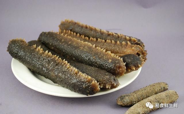 海参那么贵真的有营养吗,海参多少钱一斤为什么这么贵