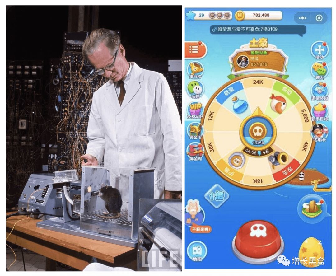 2018年顶级黑客,2018年最强黑客