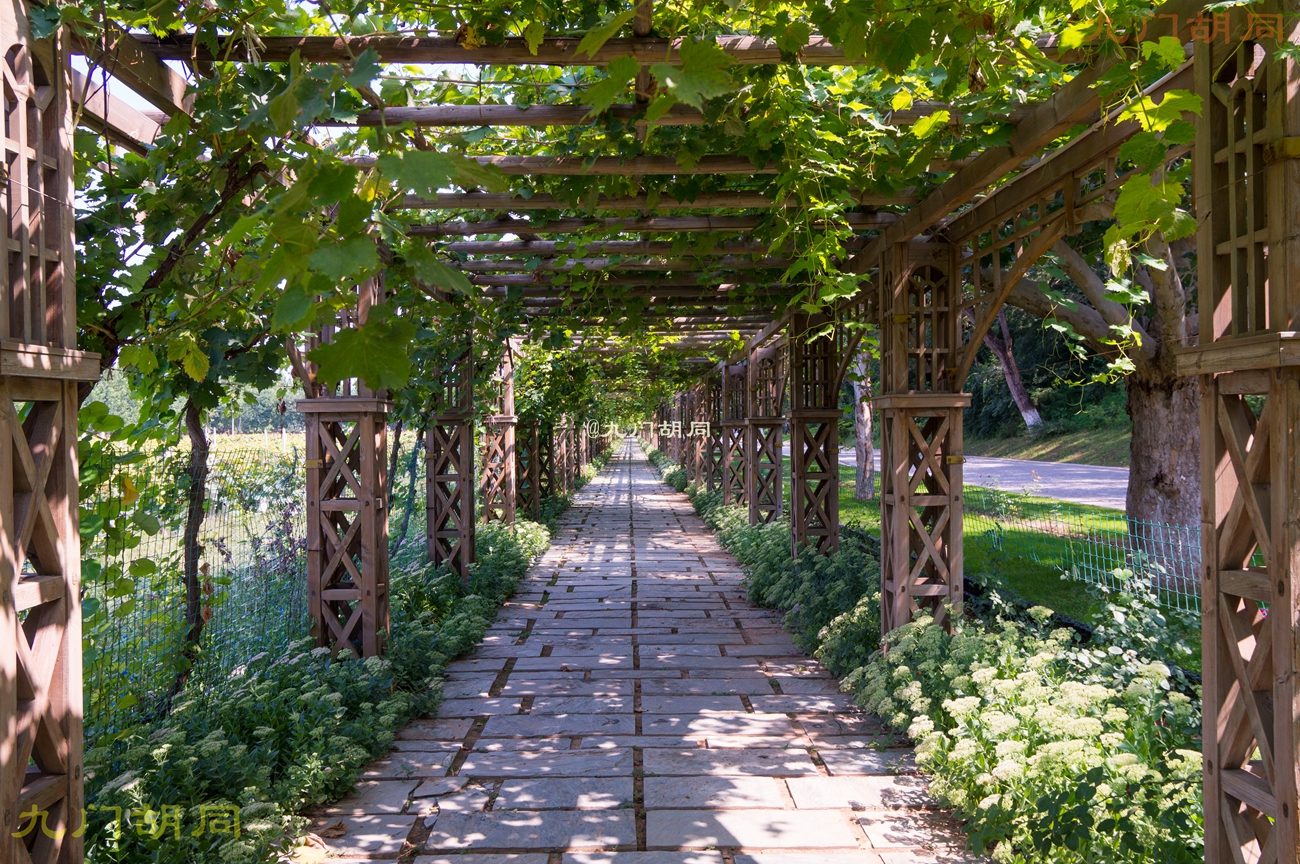 北京密云张裕爱斐堡酒庄一日游,密云张裕爱斐堡酒庄好玩吗