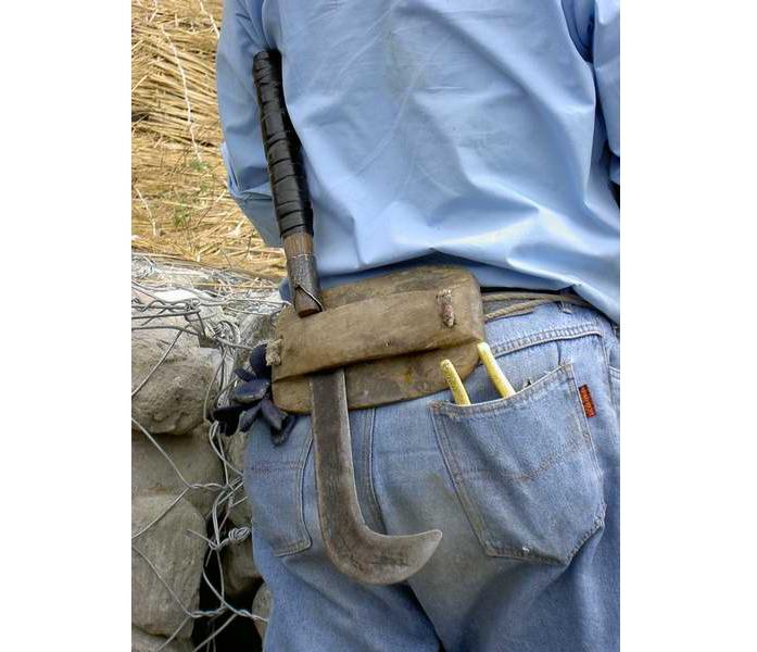 小说莲塘浮生写的什么,长篇小说连载莲塘浮生376