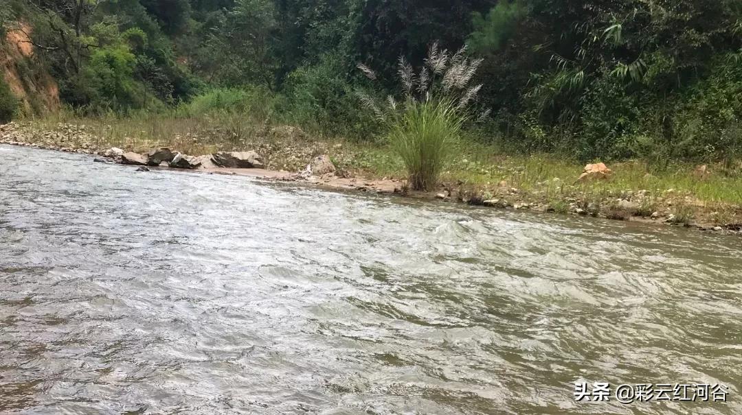 本那河在哪里,尼罗河的真实来历