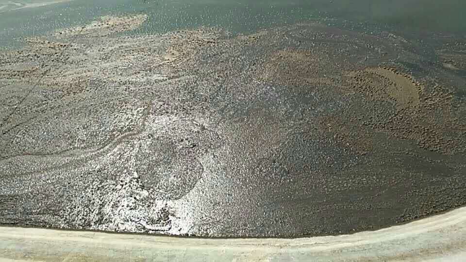 八种常见水产养殖水质！速来辨别你的池塘