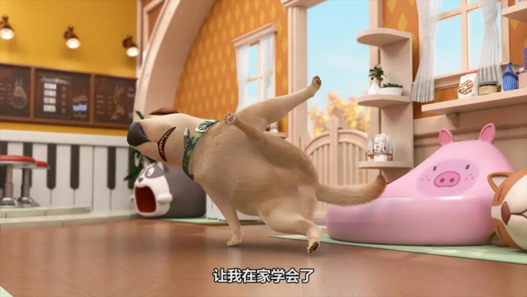 飞狗moco之小柯基的脑洞时刻,飞狗moco和他的小伙伴们