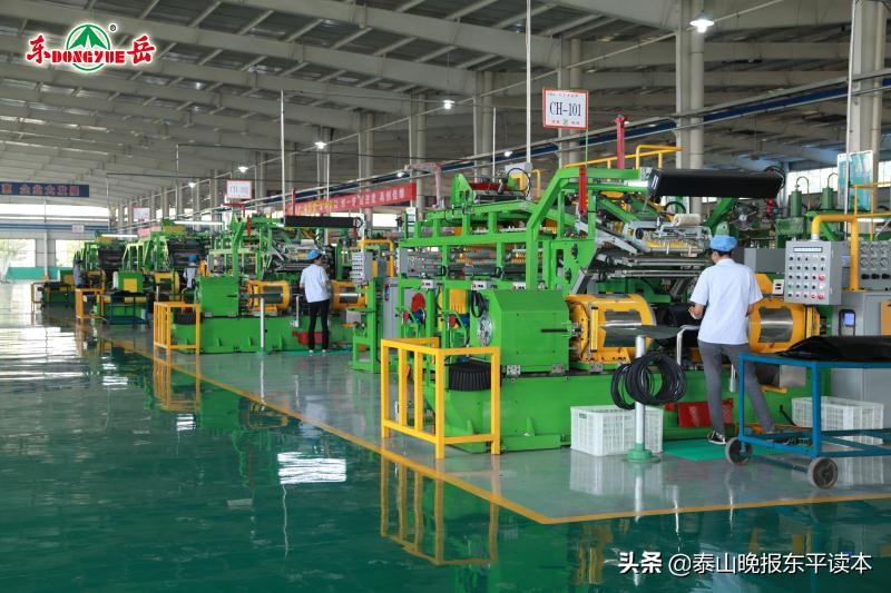 泰安市政府任命张涛,市政府张涛