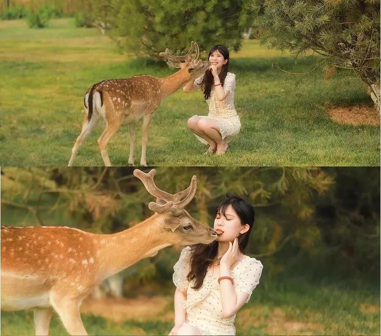 东南花都花博园景观,东南花都花博园