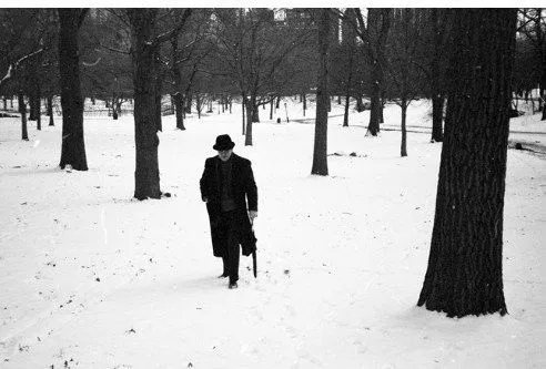 高晓松对木心的评价,高晓松被众人批判的视频