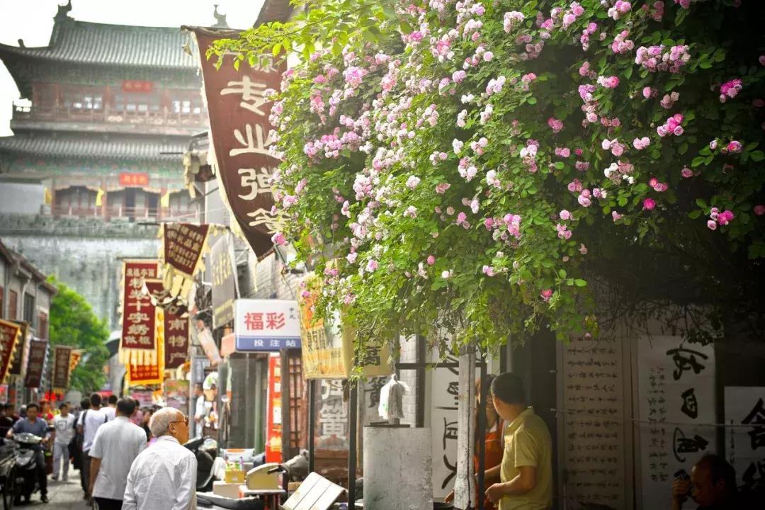 洛阳向全球推介,洛阳向世界发出邀请