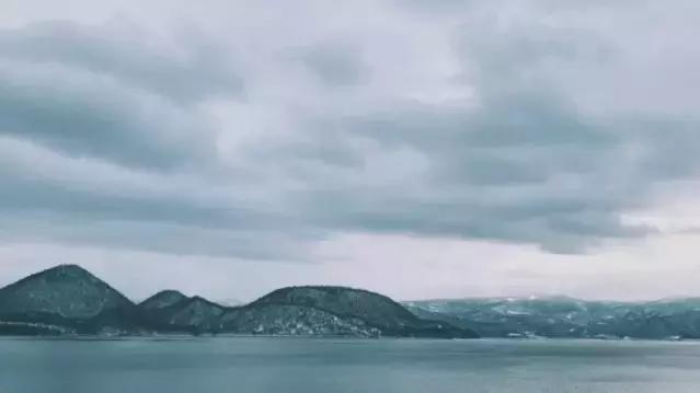 做了15年宠物服饰,这次我们做了个萌宠试衣间|它它李伟波