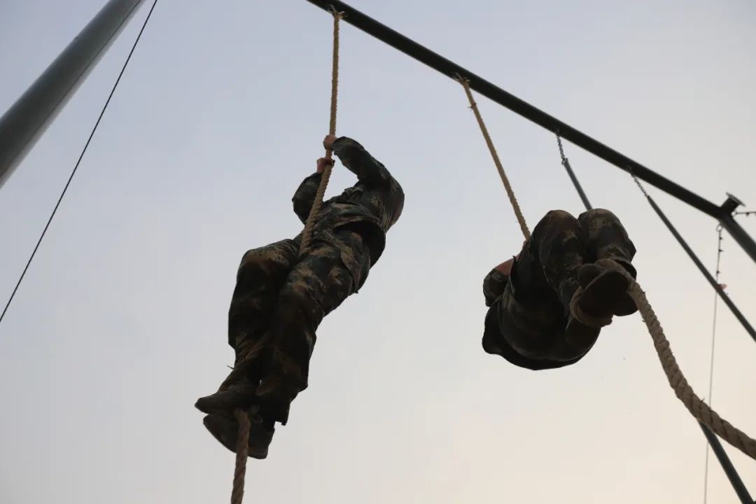 仲春初四日春色正中分古诗,今日春分昼夜平分春意融融