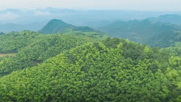 江浙沪天然温泉度假村排名榜,江浙沪温泉最好的地方排名