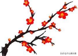 2024年鄢陵腊梅梅花文化节地址,第二年鄢陵花博园腊梅展