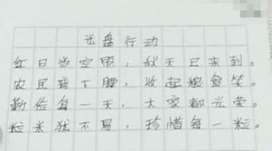 光盘行动珍惜粮食的题材,光盘行动珍惜粮食图片