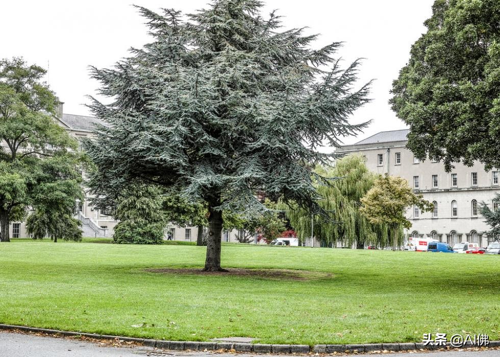 美国康奈尔大学校园风景,美国校园美景