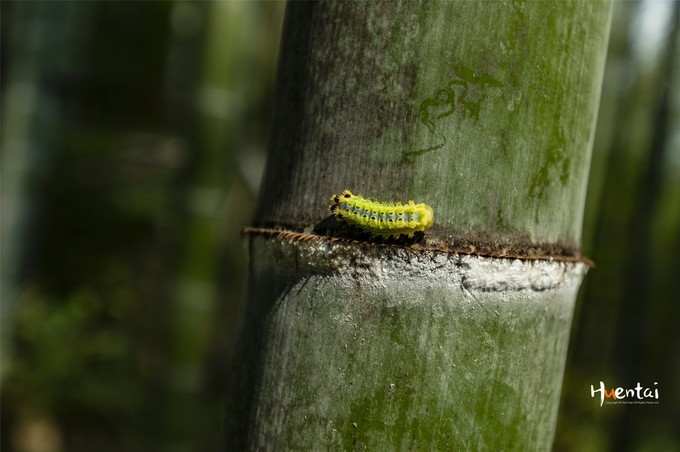 周末自驾游安徽郎溪,门票只花了30块,其它都是原生态秘境