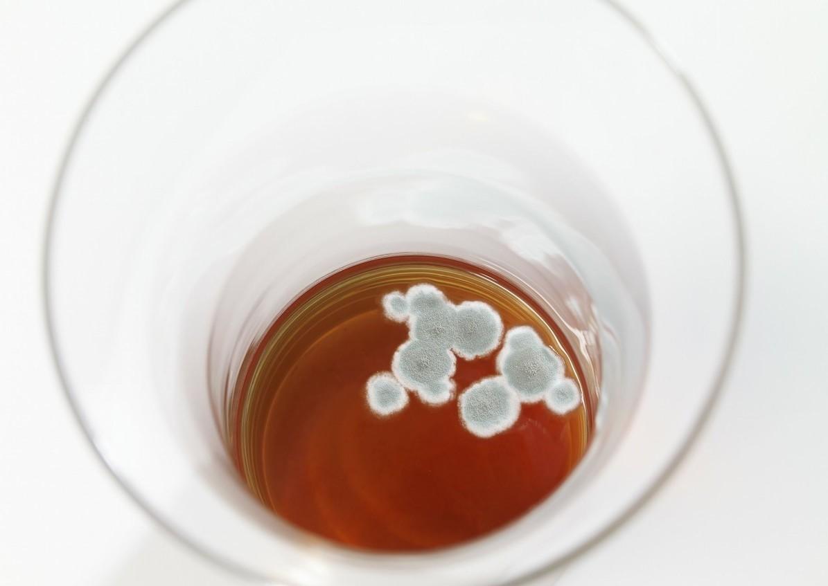 红曲中含有哪种他汀,红曲中含有生物他汀吗