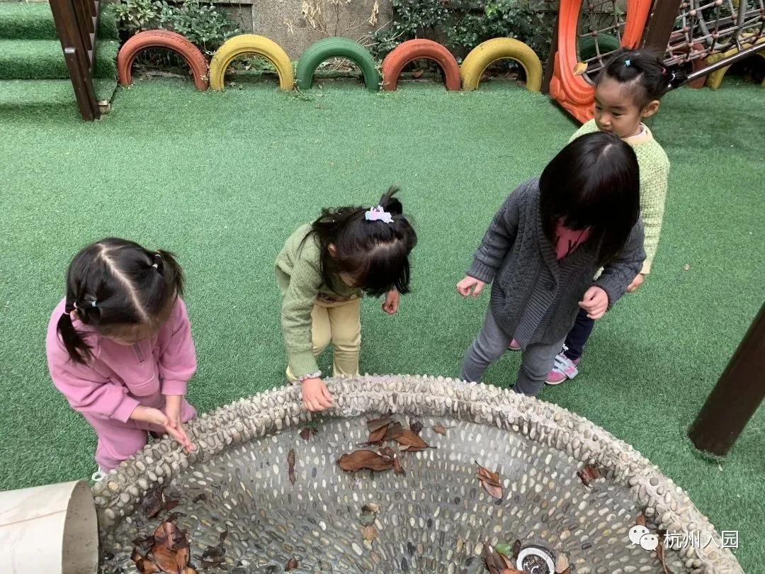 杭州最好的幼儿园排名及学费,杭州西湖区幼儿园学费