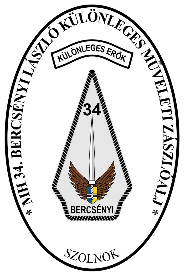 特种作战力量排行,世界战斗力最强的十大特种部队