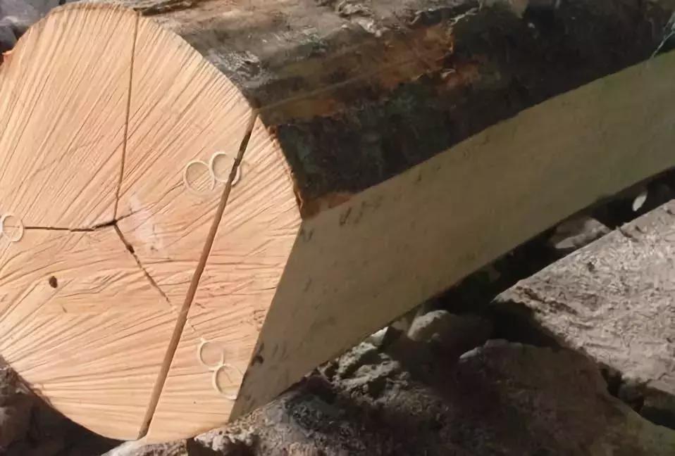 你知道什么叫木匠吗,你知道什么是榉木吗