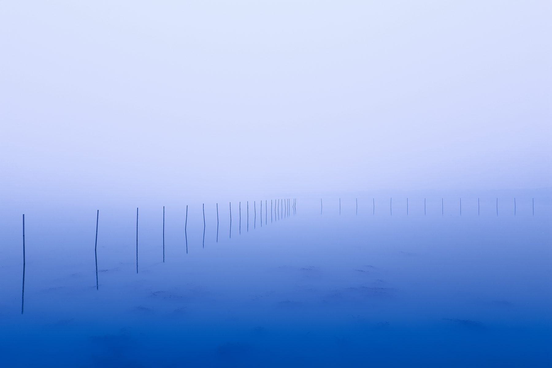 武汉哪里吃螃蟹风景最好,武汉人去青岛玩的地方