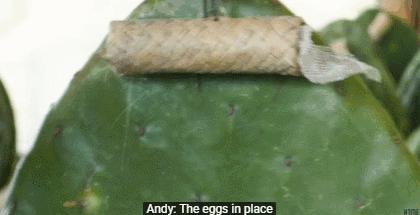 十大致癌口红排名,十大致癌的口红