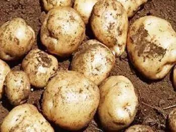 如何把一个产品营销出去,怎么营销产品效果会更好