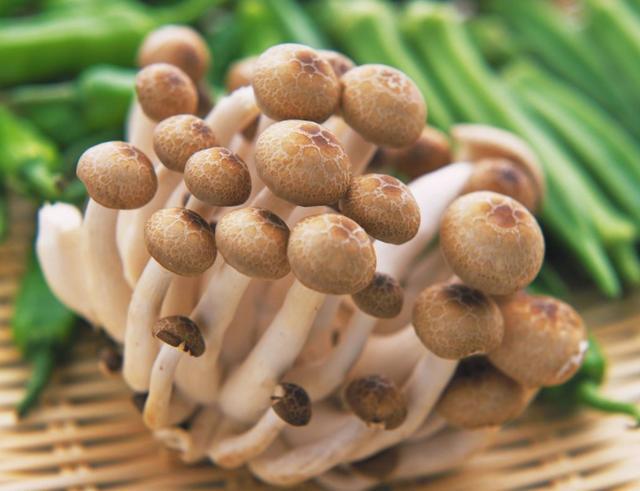 蘑菇菌包种植方法和步骤,稻草蘑菇菌包种植制作教程