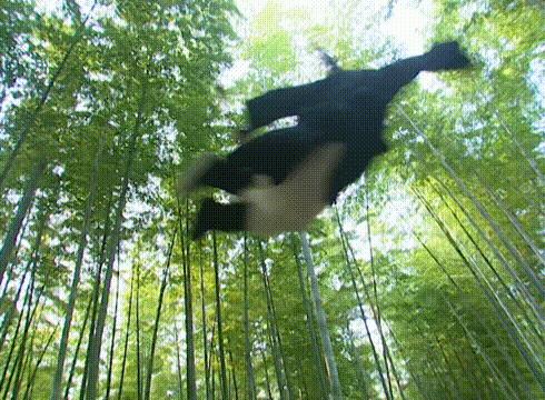 16年前老剧《天下第一》：豪华阵容再难见，表情包火到今天（下）