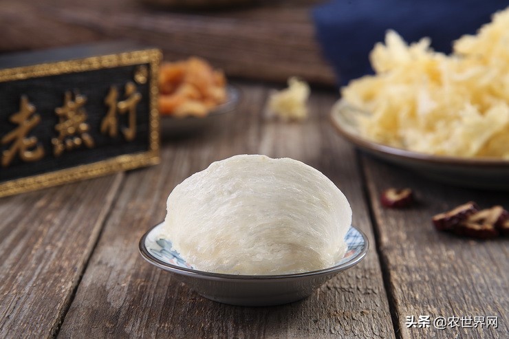 了不起的新农人|给金丝燕打造一个五星级的家,专访老燕行廖文烽