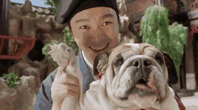 周星驰最被低估的电影,周星驰票房惨败的电影去哪里了