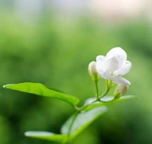 超皮的高情商幽默句子,高情商幽默风趣个性签名短句