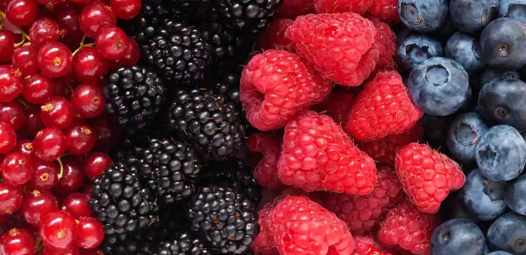 什么果汁减肥效果最好五天瘦10斤,早上喝果汁减肥十天瘦二十斤