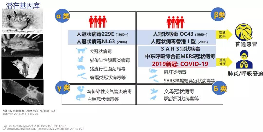 陈荣昌在哪个医院,陈荣昌广州呼吸疾病研究所所长
