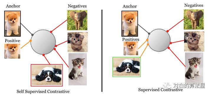 万物皆ContrastiveLearning，从ICLR和NIPS上解读最新研究进展