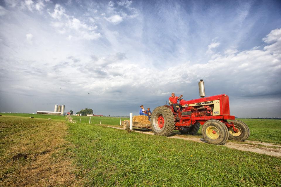 未来几年前景比较好的项目,未来5年闷声发大财项目