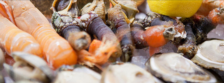 巴塞罗那必吃美食攻略,巴塞罗那西班牙广场附近美食