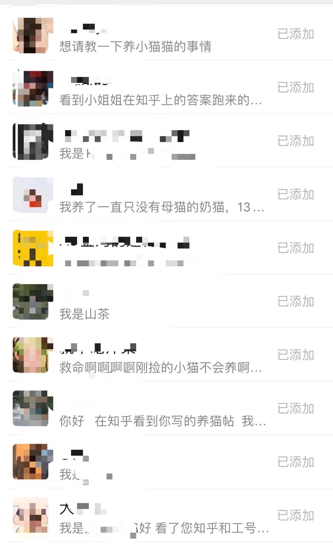 两只超凶的小奶猫怎么养,养刚出生的猫