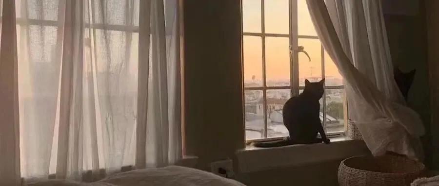 当普信男出现时，我的笑容又僵硬了几分