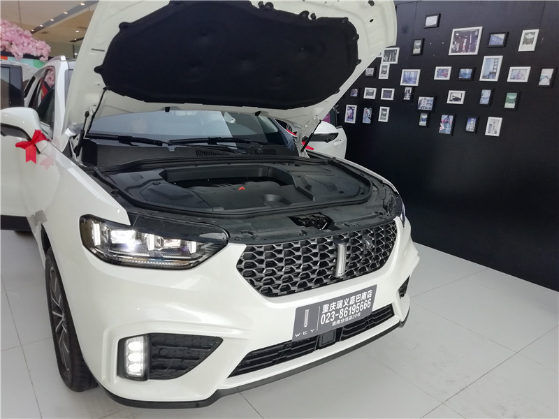 weyvv5裸车感受,又一台年轻人之车weyvv5