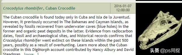 十大高质量素材网站,推荐10个鲜为人知的素材网站