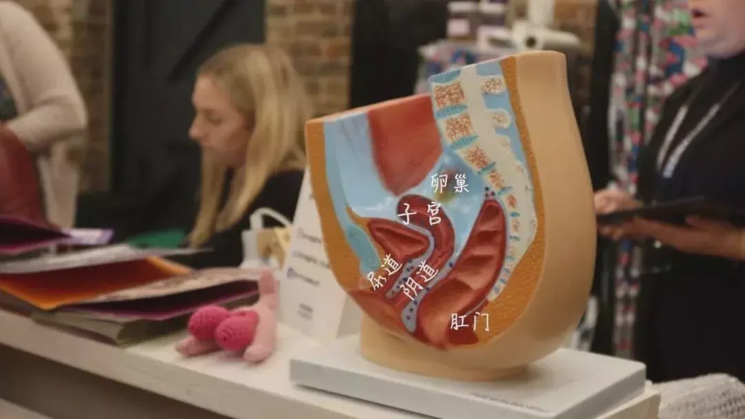 南京可口可乐、广西米粉博物馆...人类还有什么想不到的?