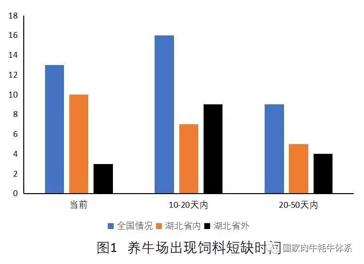 新型冠状病毒疫情社会影响,新型冠状病毒疫情对水禽养殖影响